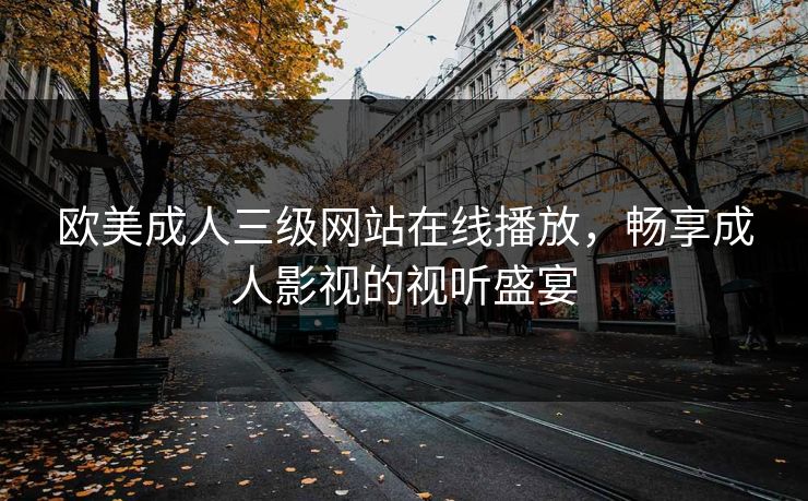 欧美成人三级网站在线播放，畅享成人影视的视听盛宴