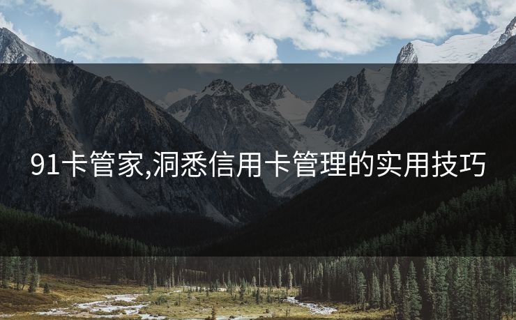 91卡管家,洞悉信用卡管理的实用技巧