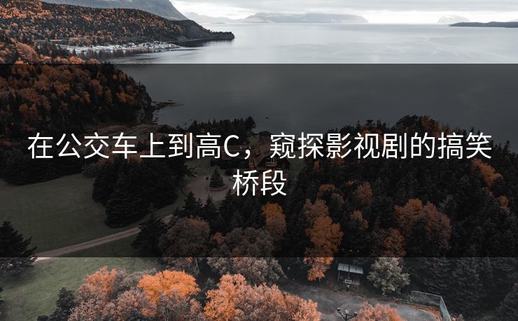 在公交车上到高C，窥探影视剧的搞笑桥段