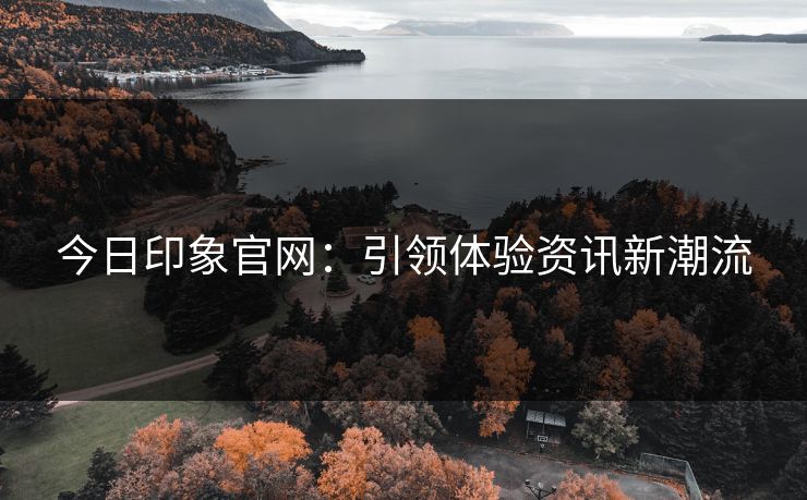 今日印象官网：引领体验资讯新潮流