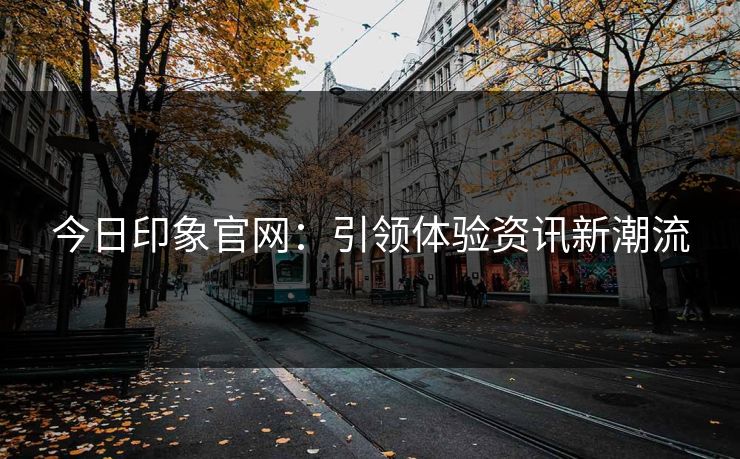 今日印象官网：引领体验资讯新潮流