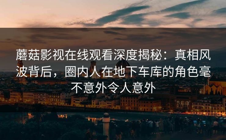 蘑菇影视在线观看深度揭秘:真相风波背后,圈内人在地下车库的角色毫不意外令人意外 蘑菇影视在线观看深度揭秘:真相风波背后,圈内人在地下车库的角色毫不意外令人意外