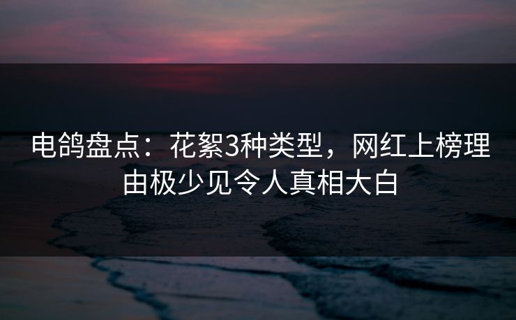 电鸽盘点：花絮3种类型，网红上榜理由极少见令人真相大白