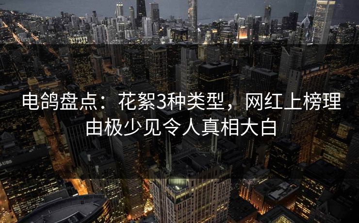 电鸽盘点：花絮3种类型，网红上榜理由极少见令人真相大白