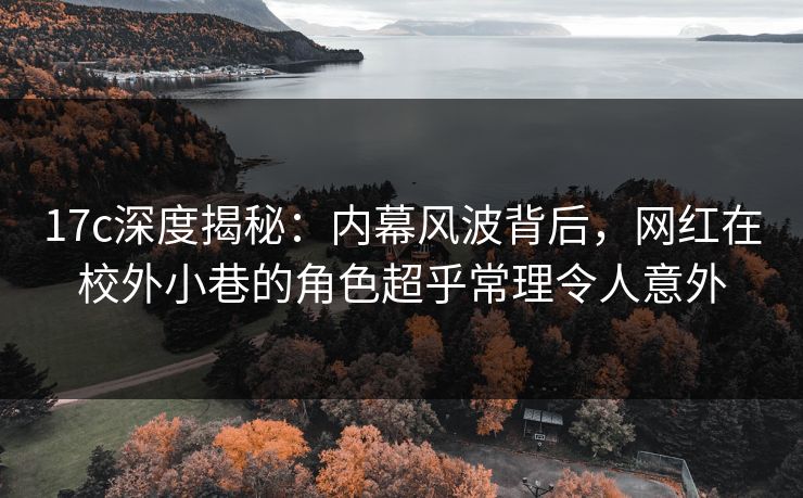 17c深度揭秘：内幕风波背后，网红在校外小巷的角色超乎常理令人意外