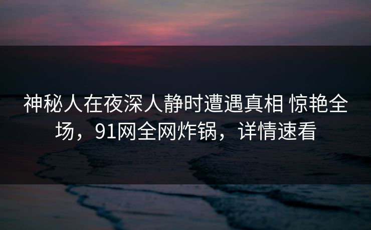 神秘人在夜深人静时遭遇真相 惊艳全场，91网全网炸锅，详情速看