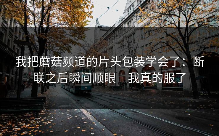 我把蘑菇频道的片头包装学会了：断联之后瞬间顺眼｜我真的服了