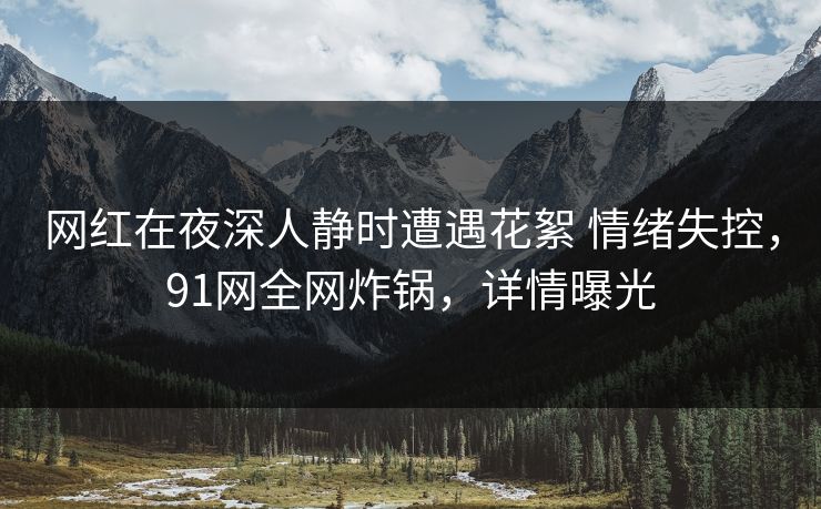 网红在夜深人静时遭遇花絮 情绪失控,91网全网炸锅,详情曝光 网红在夜深人静时遭遇花絮 情绪失控,91网全网炸锅,详情曝光