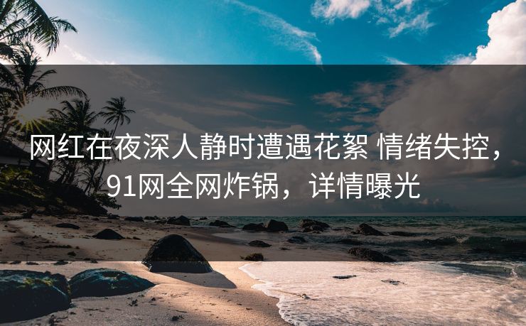 网红在夜深人静时遭遇花絮 情绪失控,91网全网炸锅,详情曝光 网红在夜深人静时遭遇花絮 情绪失控,91网全网炸锅,详情曝光