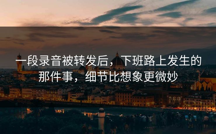 一段录音被转发后，下班路上发生的那件事，细节比想象更微妙
