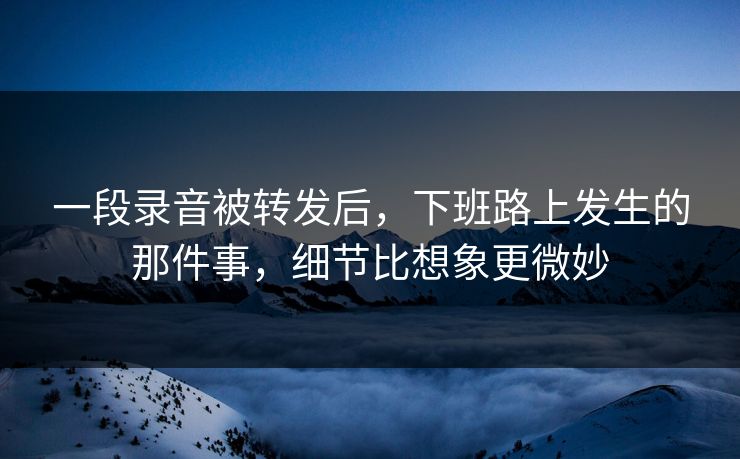 一段录音被转发后，下班路上发生的那件事，细节比想象更微妙