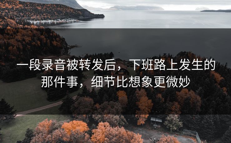 一段录音被转发后，下班路上发生的那件事，细节比想象更微妙