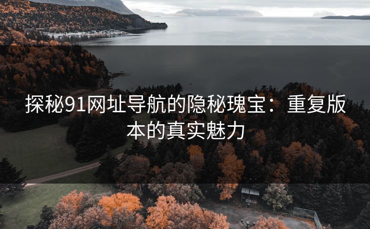 探秘91网址导航的隐秘瑰宝：重复版本的真实魅力